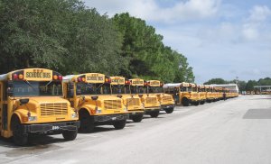 Pasco County school buses